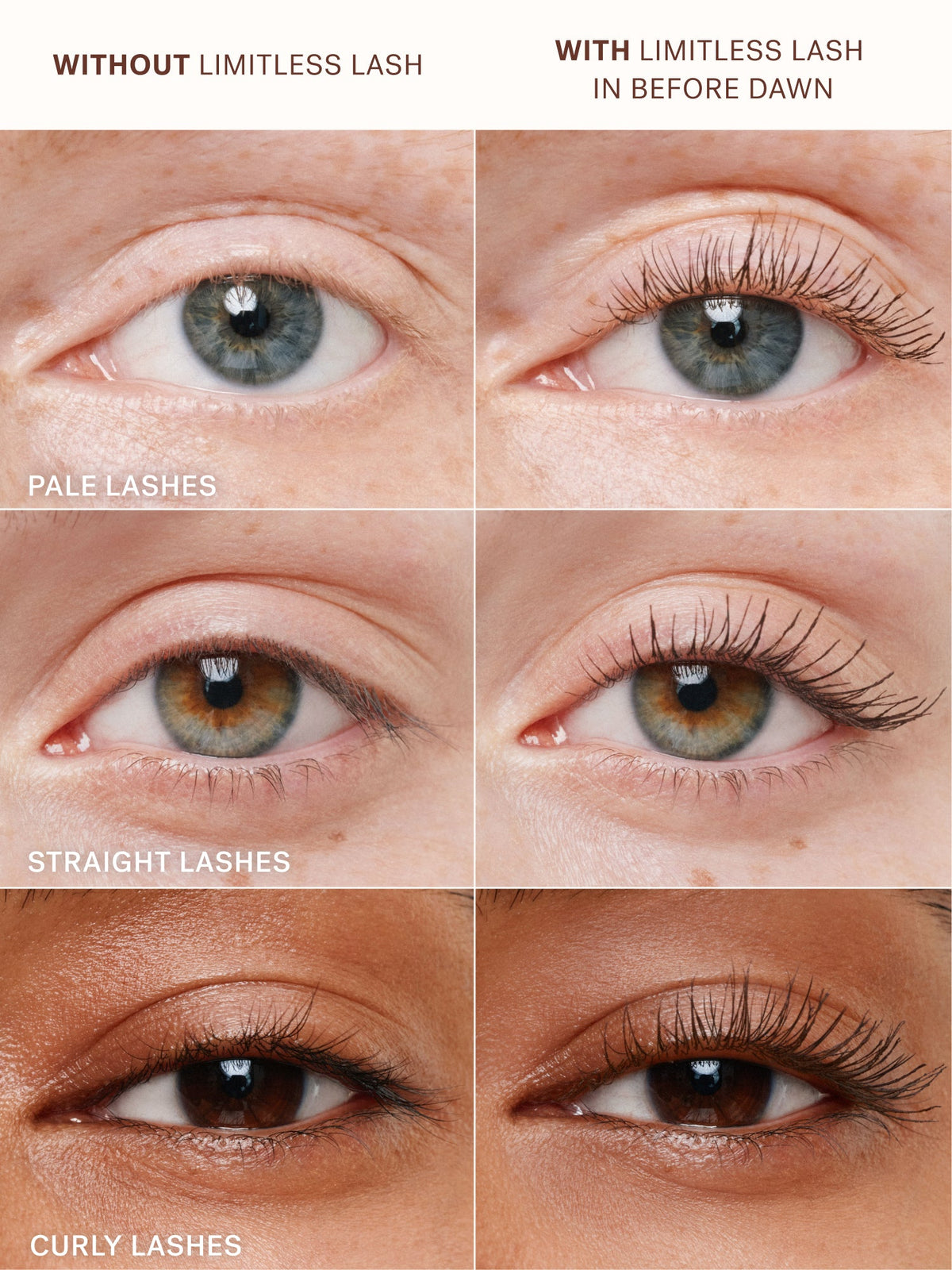 The Complexion + Color Set